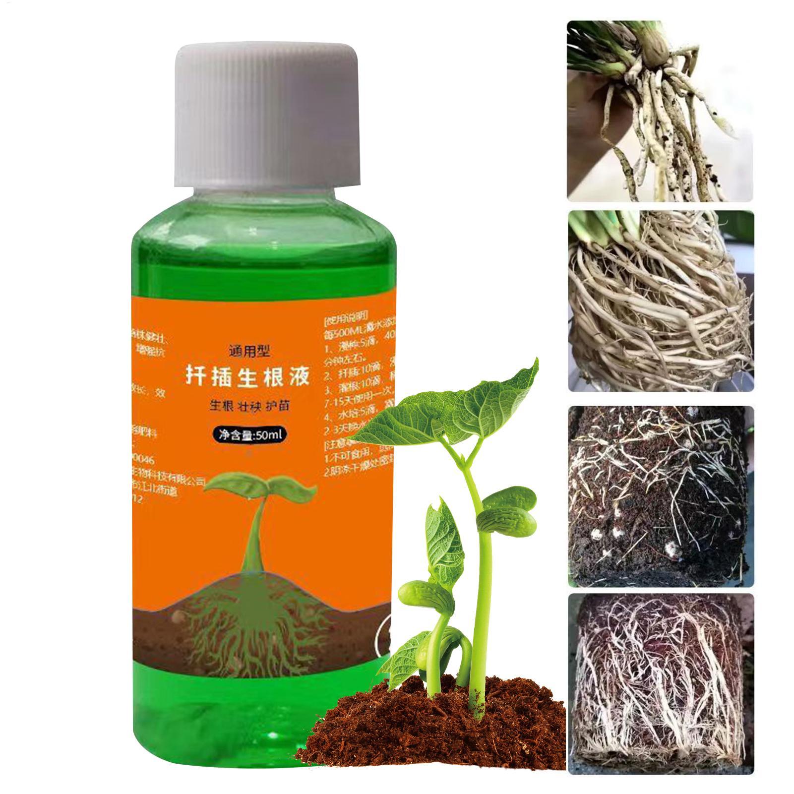 Root Stimulator Liquid - Solution nutritive pour repiquage 50 ml,