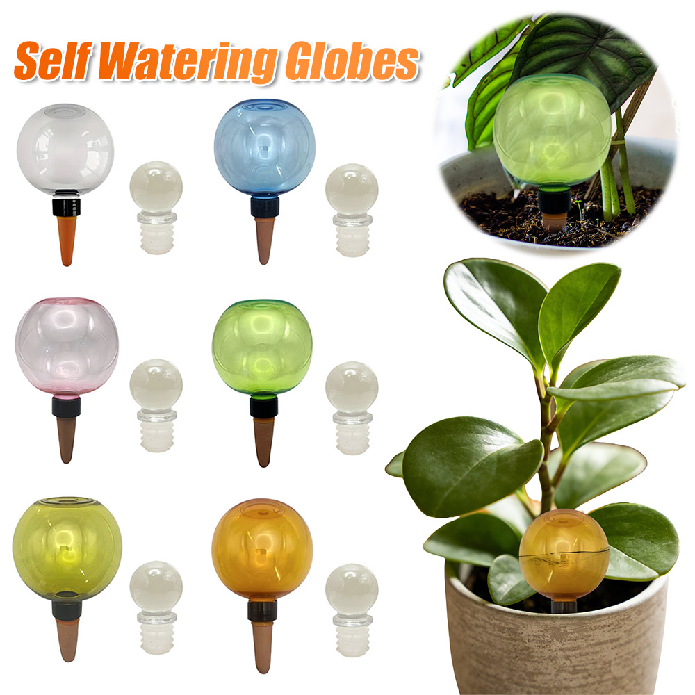 Insert de jardinière auto-arro - Self Watering Insert avis et prix