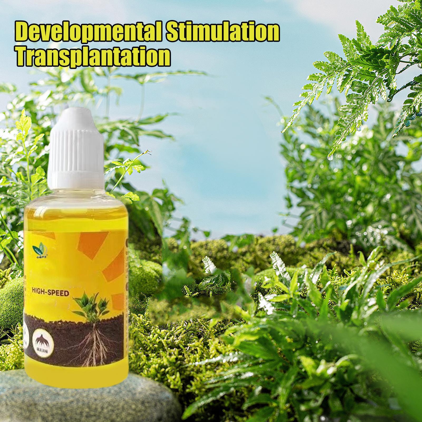 Liquide de résurrection végéta - Root Stimulator Liquid avis et prix